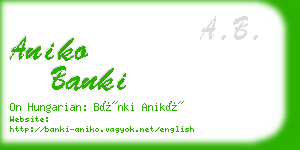 aniko banki business card